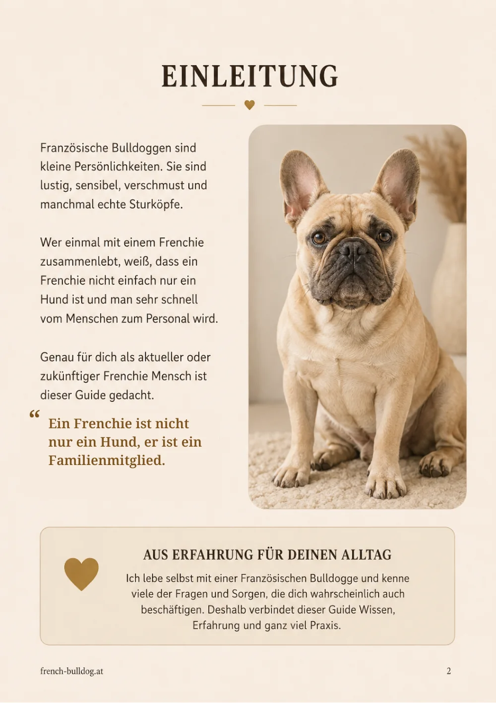 Einleitung des großen Frenchie Guides